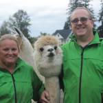 Kandi and Mark Dondrill of Green Apple Alpacas. Photo by Bailey Jo Josie/Sound Publishing.