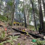 (Courtesy of Puget Sound Fire Authority)