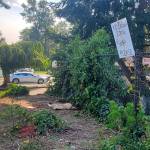 The corner outside the Day Center, 33505 13th Pl. S., as seen in 2023, where a woman had lived in a shelter made from umbrellas. File photo