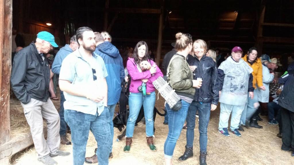 The 2024 Hops and Crops beer and music festival was held Sept. 14 at Mary Olson Farm in Auburn. Photos by Robert Whale/Auburn Reporter