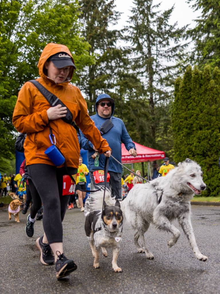 Photo courtesy City of Auburn