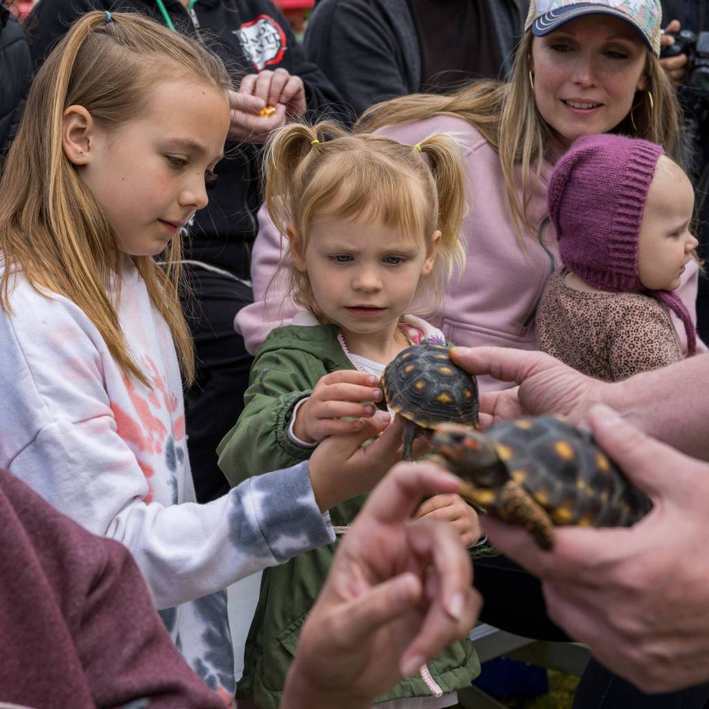 Photo courtesy City of Auburn