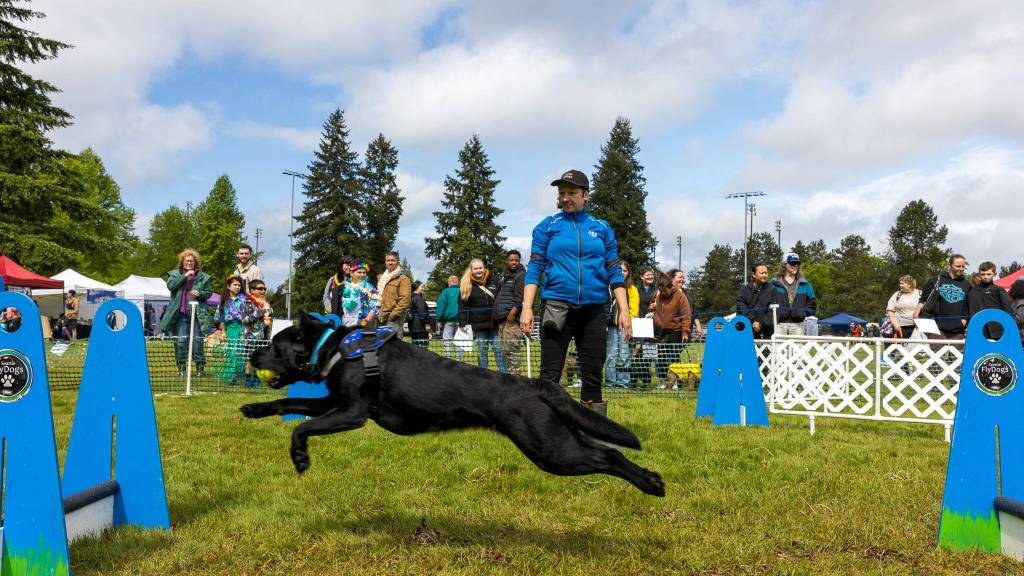 Photo courtesy City of Auburn