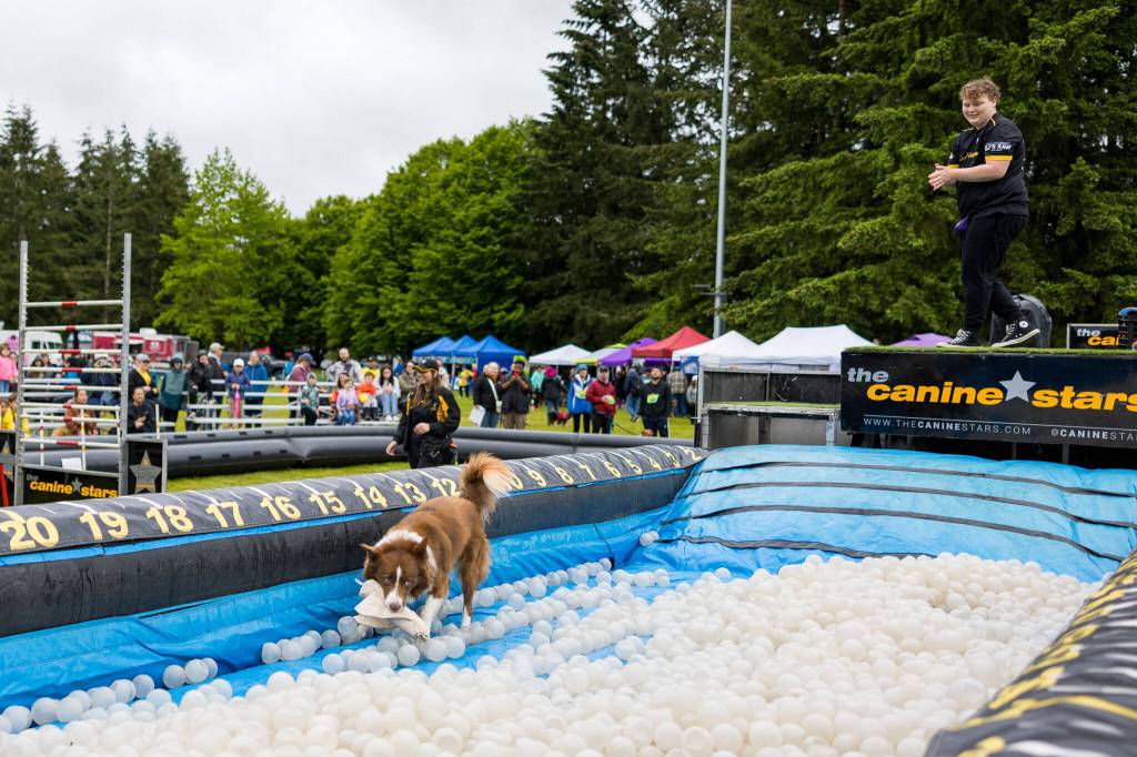 Photo courtesy City of Auburn