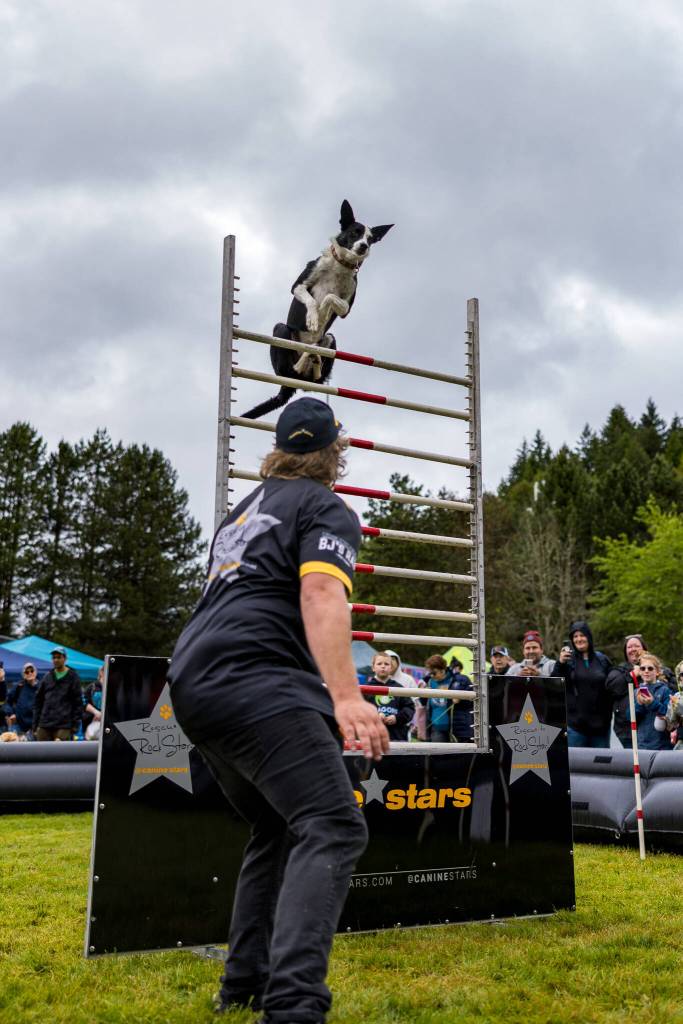 Photo courtesy City of Auburn