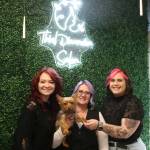 Hairstylists Katie Francis and Rachel Oelrich with owner Deana McFarlane and Third Dimension Salon dog Bodhi. Photo by Bailey Jo Josie/Sound Publishing