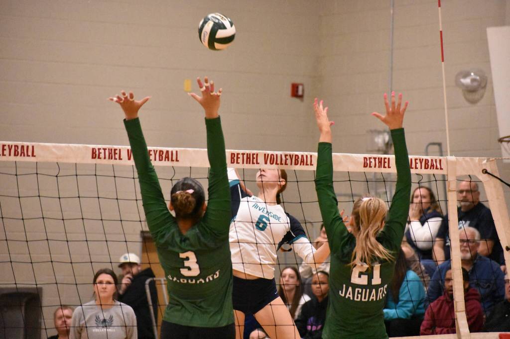 Kate Danielson preps for the kill attempt against Emerald Ridge. Ben Ray / The Reporter