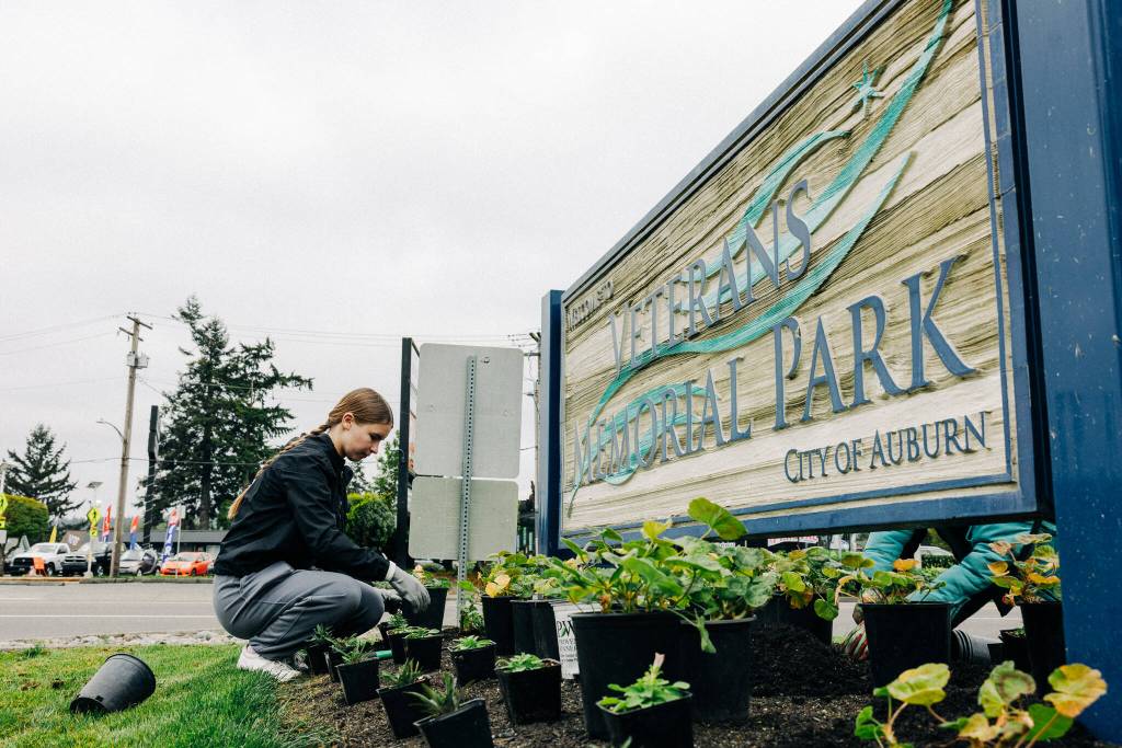 Clean Sweep, Auburn’s annual celebration of Earth Day, took place April 26. Volunteer groups worked on general cleanup, landscaping, planting, weeding, litter pickup and other projects at various parks, trails and other public sites around Auburn. Courtesy photo
