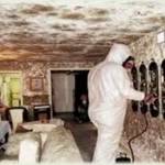 Auburns Code Compliance Division officers deal with the spread of toxic mold. Courtesy photo/City of Auburn