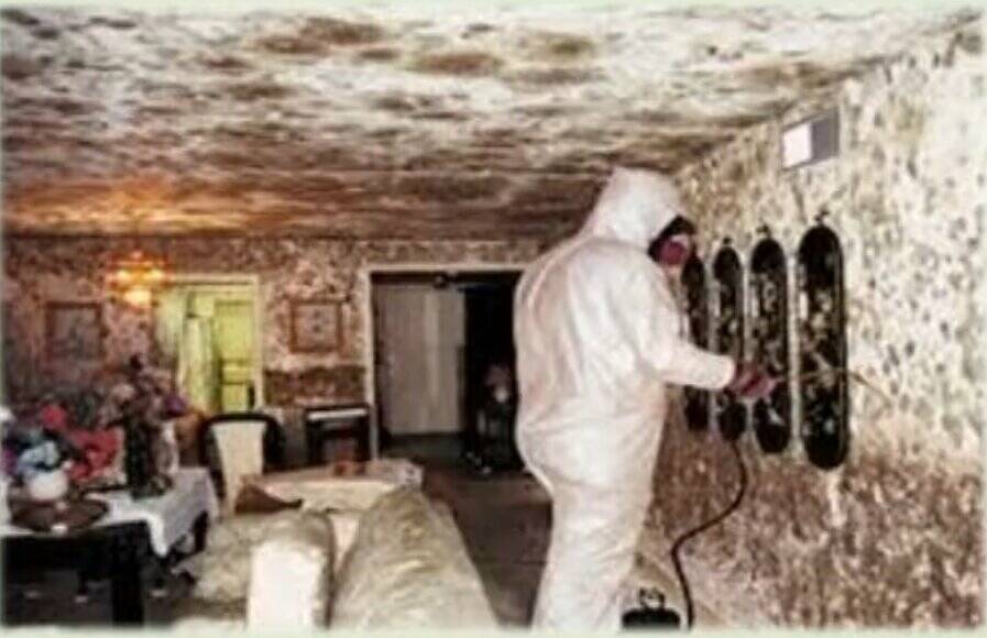 Auburns Code Compliance Division officers deal with the spread of toxic mold. Courtesy photo/City of Auburn