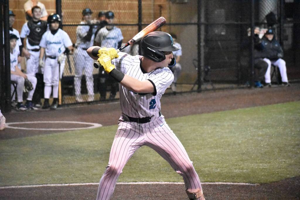 Hayden Hatcher prepares to swing for Auburn Riverside. Ben Ray / The Reporter