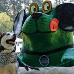 Scene from a past Petpalooza in Auburn. File photo