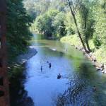 Swimming and floating the Cedar River are popular summer activities in Renton.