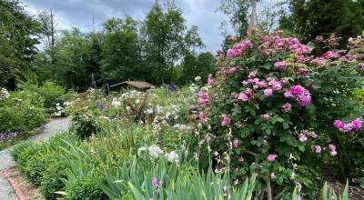 Soos Creek Botanical Garden in Auburn. Courtesy of Puget Sound Public Gardens.